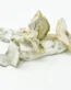 Albino A+ Mushrooms