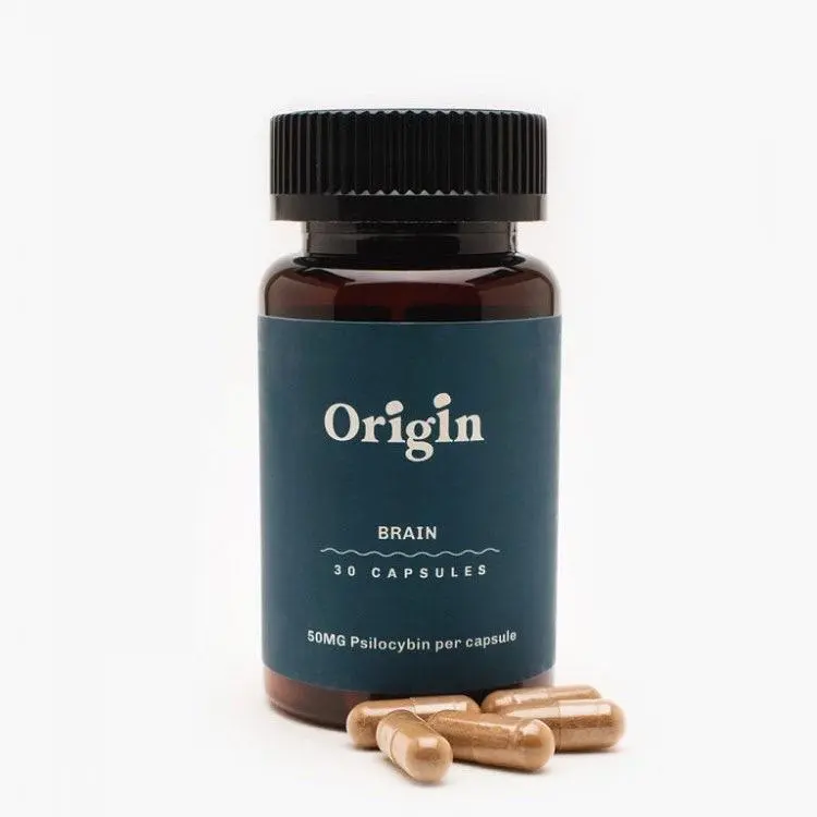 Brain Health Mushroom Capsules Brain Health Mushroom Capsules