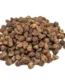 Hawaiian Baby Woodrose Seeds