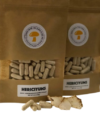 Lions-Mane-Mushroom-Capsules