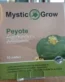 Peyote Seeds for sale