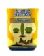 Buying San Pedro Cactus Grow Kit Trichocereus pachanoi