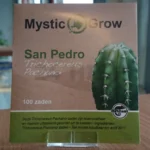 San Pedro seeds (Trichocereus Pachanoi)